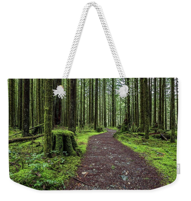 Alex Lyubar Weekender Tote Bag featuring the photograph All covered with green moss magic forest #2 by Alex Lyubar