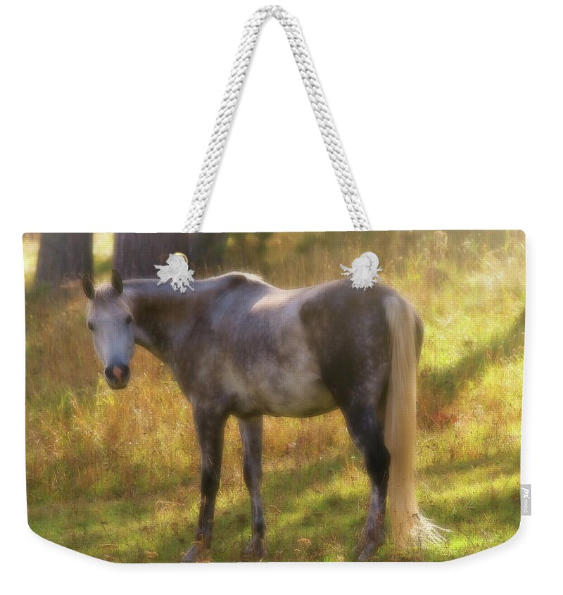 Ambient Grace Weekender Tote Bag featuring the photograph Ambient Grace by Amanda Smith