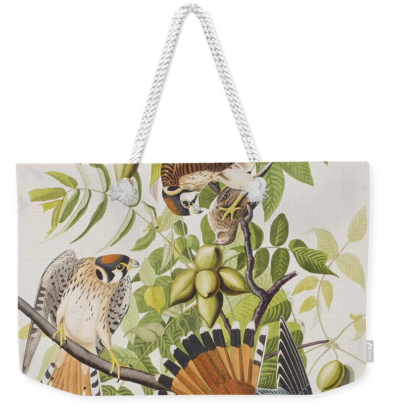 American Tree Sparrow Weekender Tote Bags