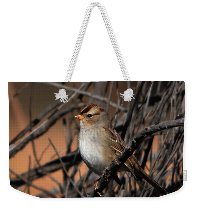 Birds Weekender Tote Bag featuring the photograph American Tree Sparrow #1 by John Greco