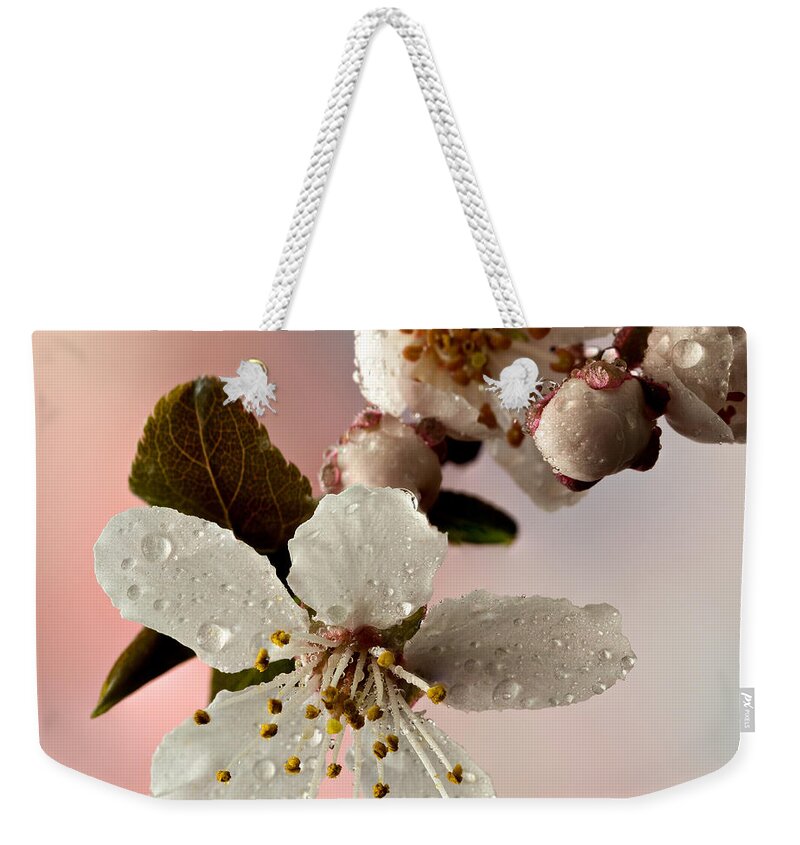 Anther Weekender Tote Bag featuring the photograph Announcing Spring #1 by Mary Jo Allen