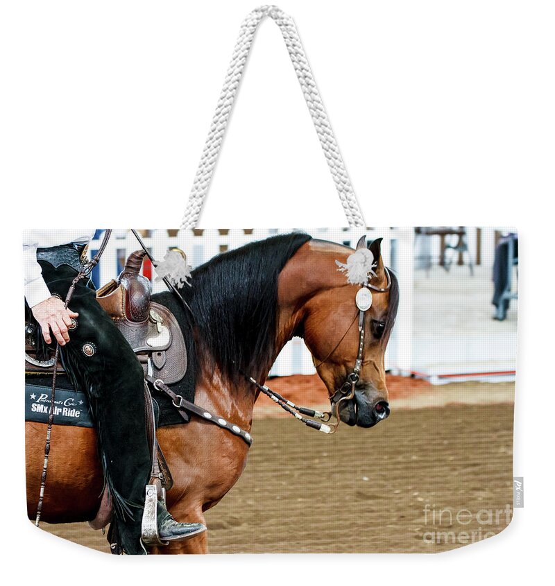 Horse Weekender Tote Bag featuring the photograph Arabian Show Horse 3 #2 by Ben Graham
