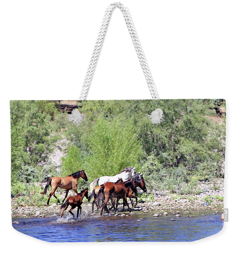 River Weekender Tote Bag featuring the photograph Arizona Wild Horses #1 by Matalyn Gardner