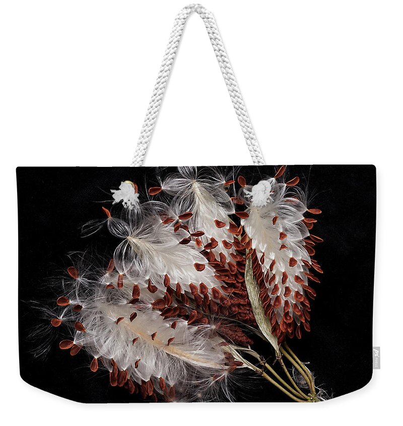 Seed Weekender Tote Bag featuring the photograph Asclepias currasavica--seed pod #2 by Ann Jacobson