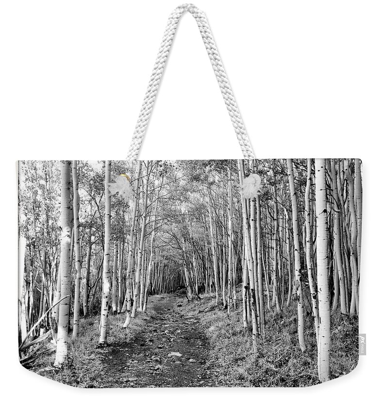 Aspen Weekender Tote Bag featuring the photograph Aspen Forest by Farol Tomson