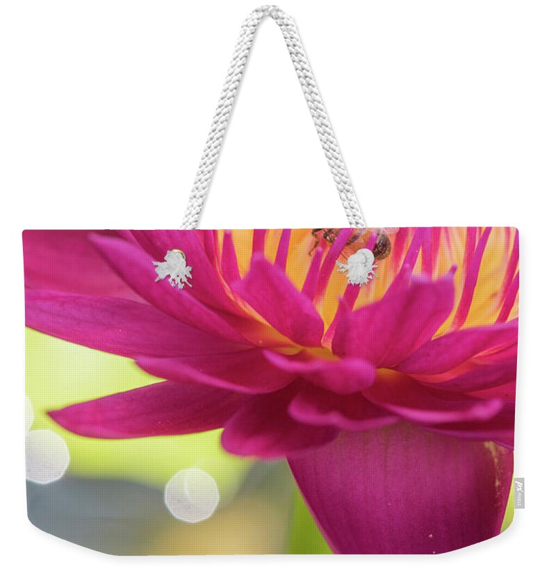 Lily Weekender Tote Bag featuring the photograph Attraction. by Usha Peddamatham