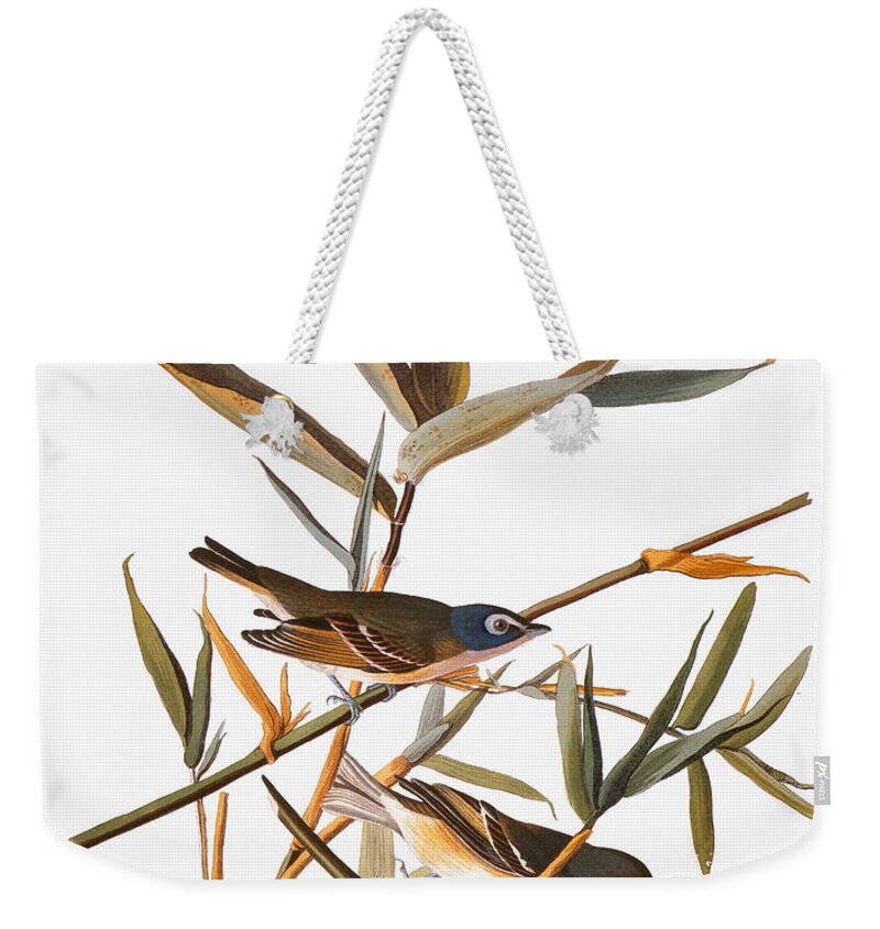 1838 Weekender Tote Bag featuring the photograph Audubon: Vireo #1 by Granger