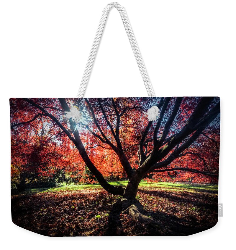Washington D.c. Weekender Tote Bag featuring the photograph Autumn In The Nations Capital #1 by Robert Fawcett