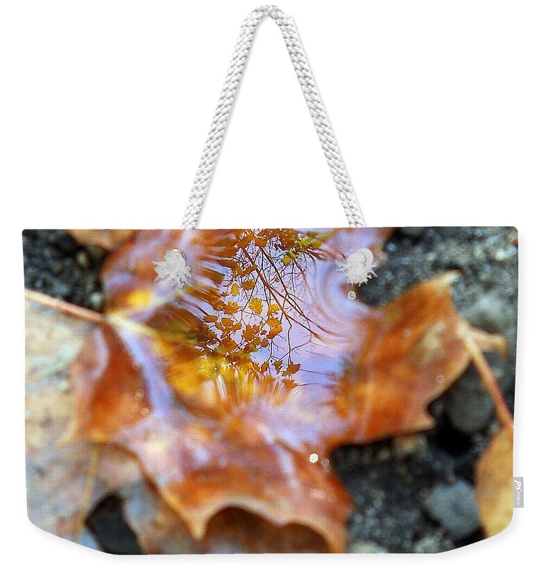 Leaves Weekender Tote Bag featuring the photograph Autumn Leaves #1 by Wolfgang Schweizer