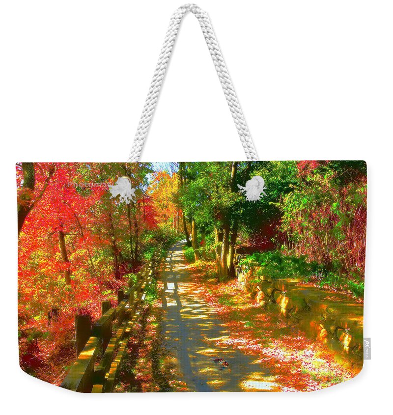 Autumn Weekender Tote Bag featuring the photograph Autumn #1 by Raymond Earley
