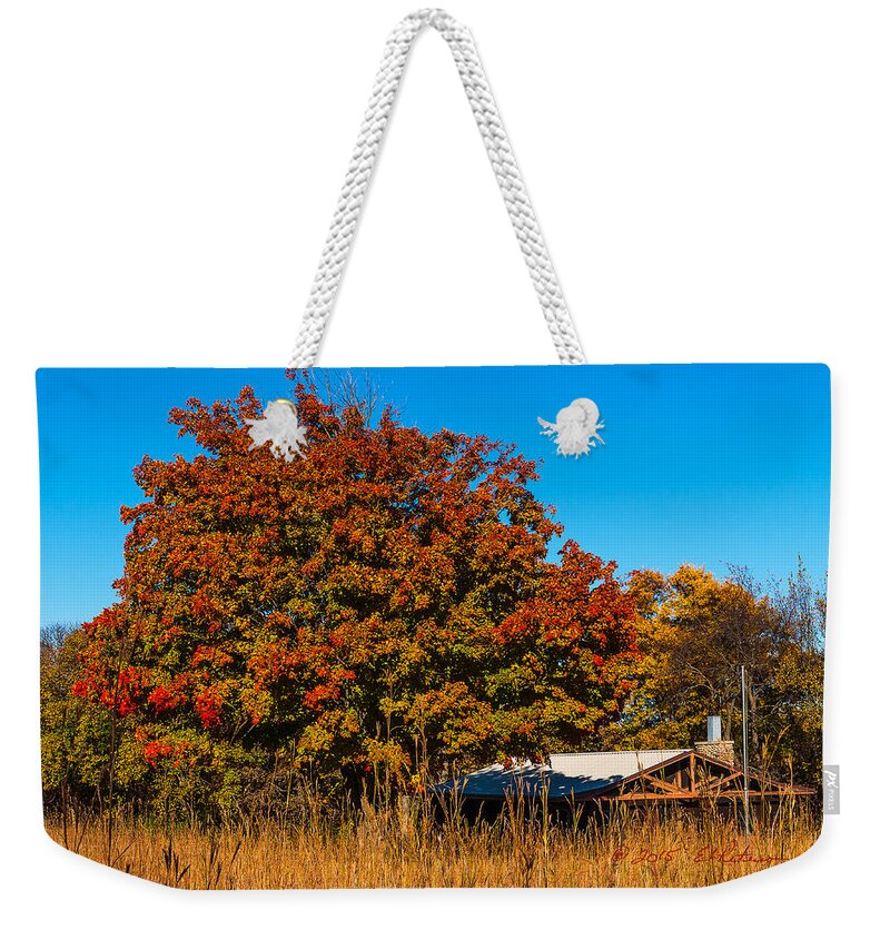 Fall Weekender Tote Bag featuring the photograph Autumn Red #1 by Ed Peterson