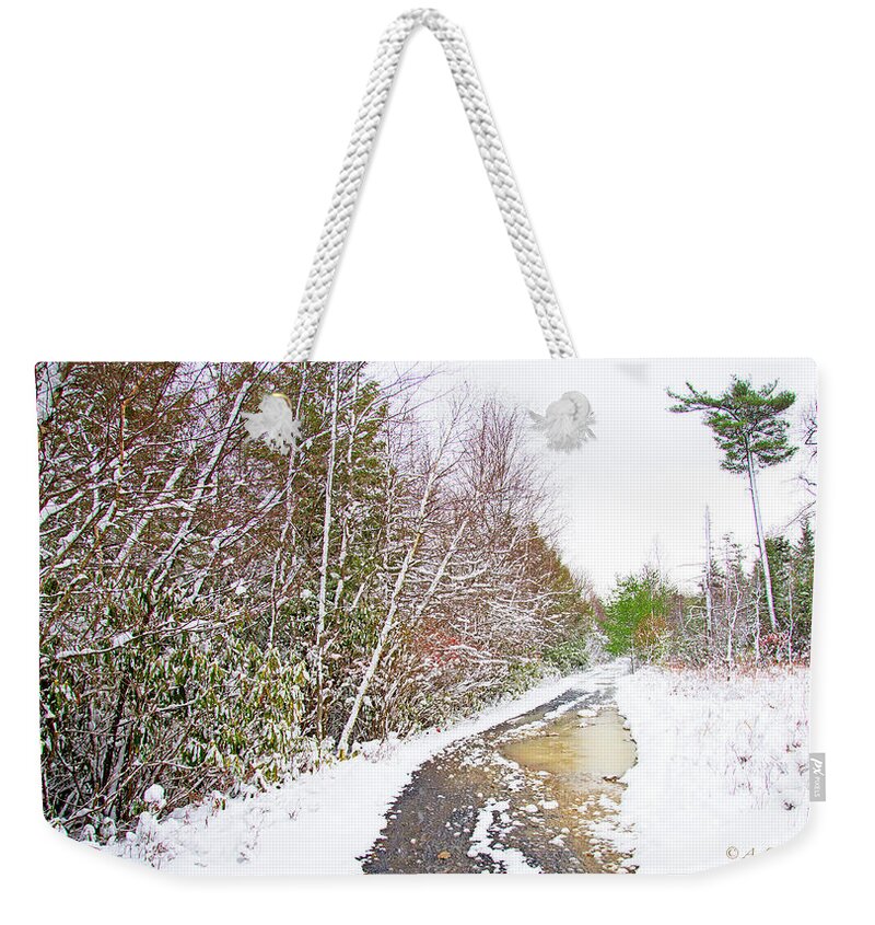 Back Road Weekender Tote Bag featuring the photograph Back Road, Pocono Mountain Thicket in Winter #1 by A Macarthur Gurmankin
