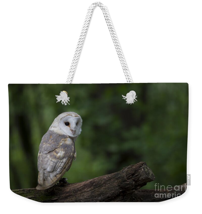 Owl Weekender Tote Bag featuring the photograph Barn Owl in the Woods by Andrea Silies