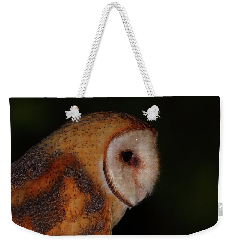Owl Weekender Tote Bag featuring the photograph Barn Owl Profile #1 by Bruce J Robinson
