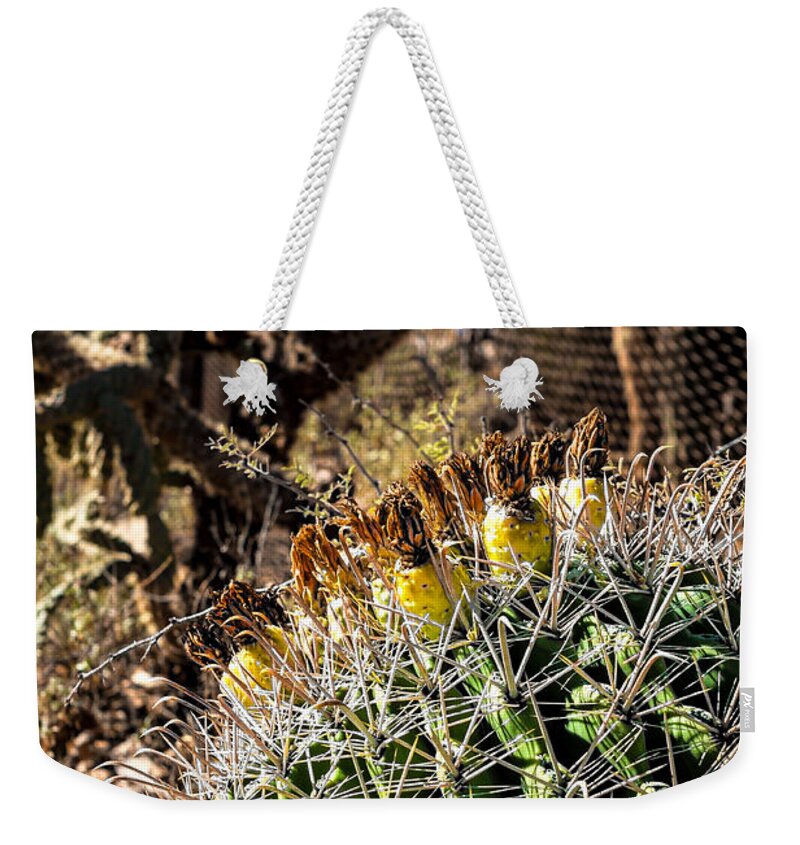 Arid Weekender Tote Bag featuring the photograph Barrel Cactus #1 by Lawrence Burry