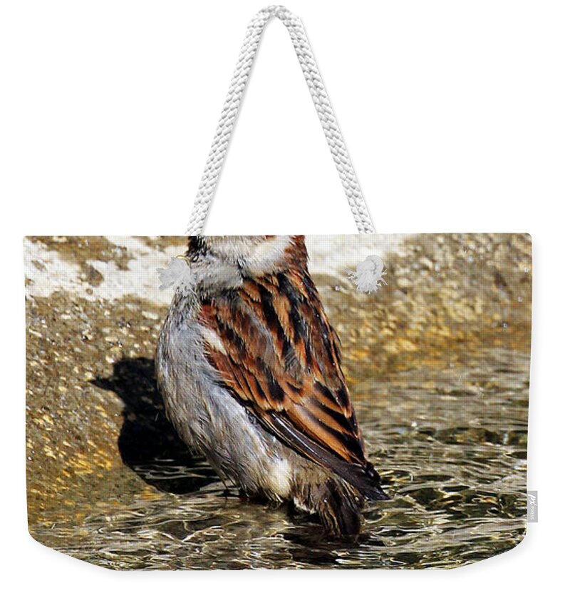 Bath Time Weekender Tote Bag featuring the photograph Bath Time by Jennifer Robin
