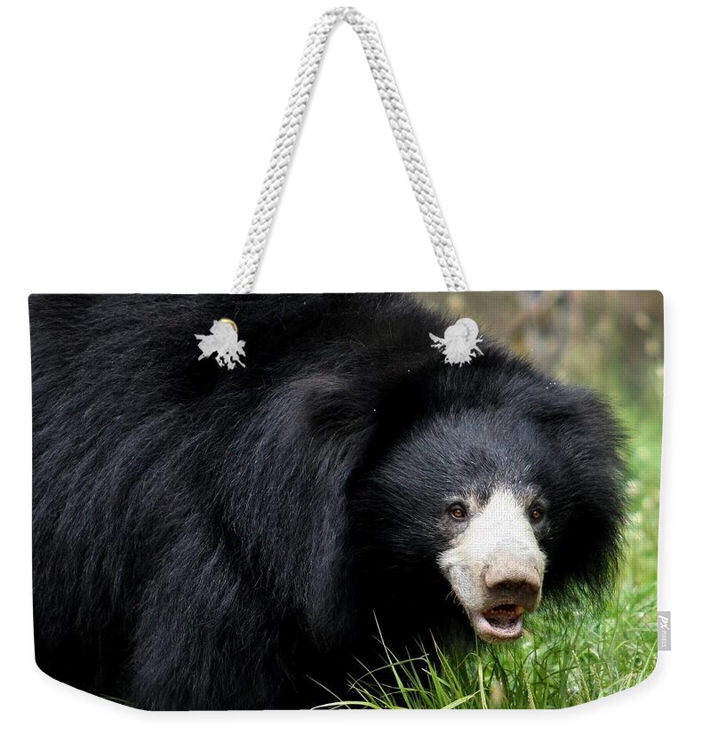 Bear Weekender Tote Bag featuring the digital art Bear #1 by Maye Loeser