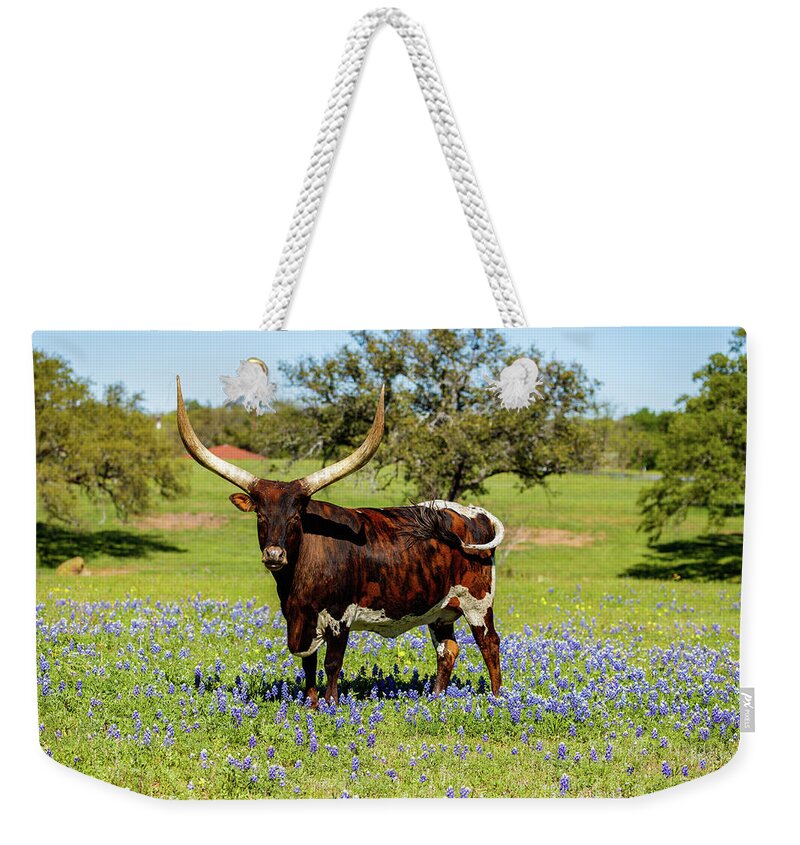 African Breed Weekender Tote Bag featuring the photograph Beautiful longhorn bull by Raul Rodriguez