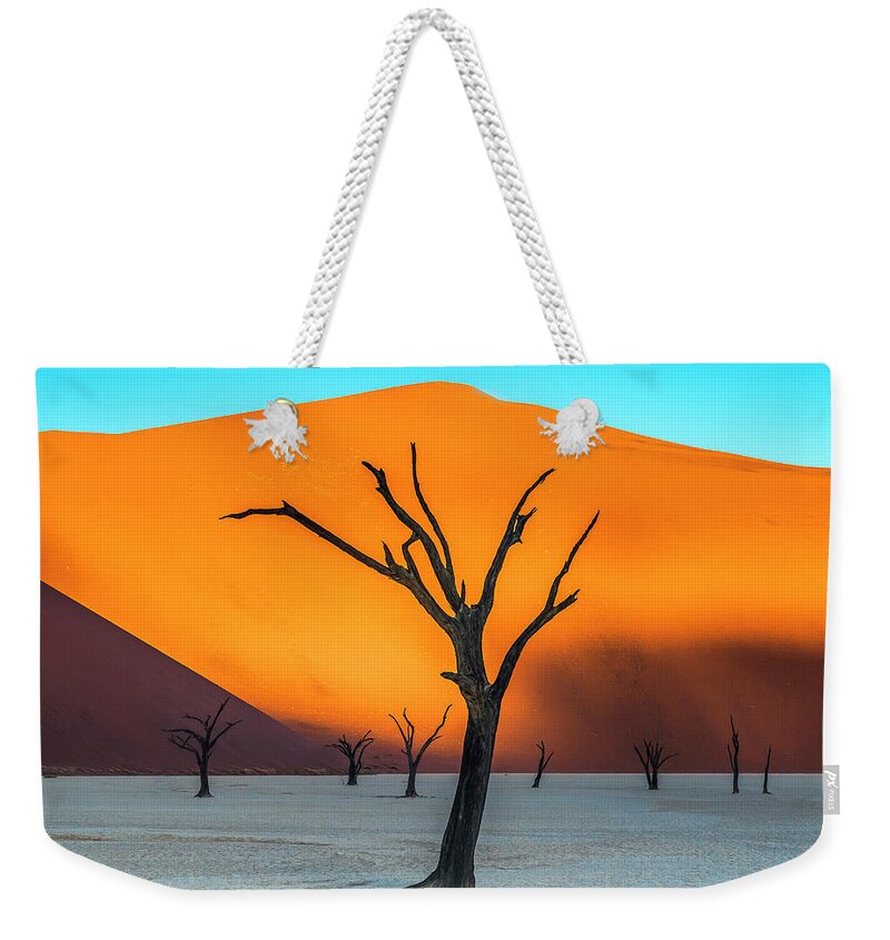 Deadvlei Weekender Tote Bag featuring the photograph Beauty lives forever. #2 by Usha Peddamatham