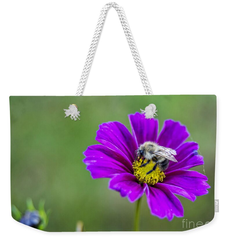 Bee Weekender Tote Bag featuring the photograph Bee #2 by Alana Ranney
