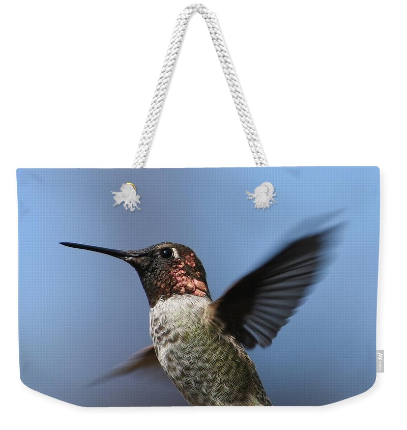 Hummingbird Weekender Tote Bag featuring the photograph Bejeweled #1 by Fraida Gutovich
