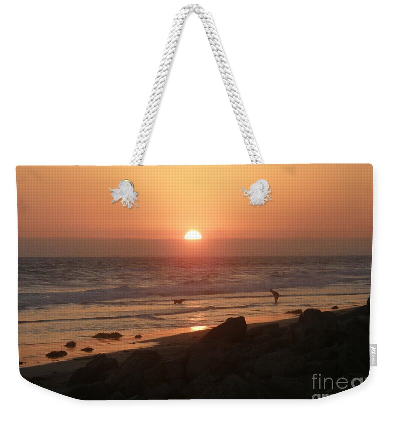 Beach Weekender Tote Bag featuring the photograph Best Friends at the Beach #3 by Leah McPhail
