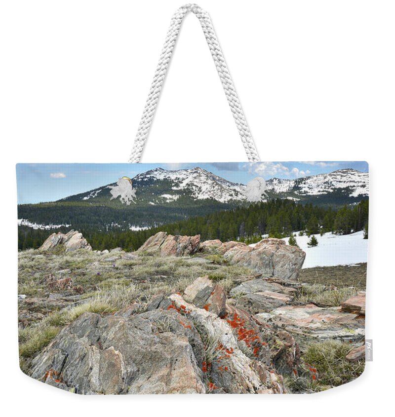 Big Horn Mountains Weekender Tote Bag featuring the photograph Big Horn Pass in Wyoming #1 by Ray Mathis