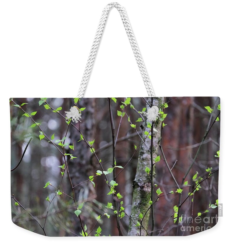 Nature Weekender Tote Bag featuring the photograph Birch Tree by Dariusz Gudowicz