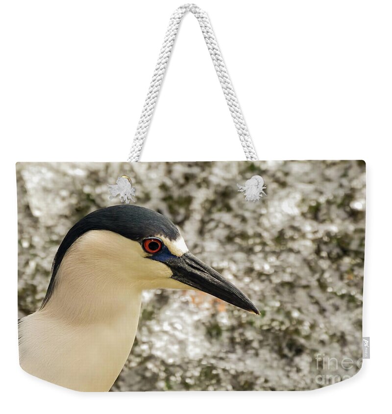Heron Weekender Tote Bag featuring the photograph Black crowned night heron portrait #1 by Sam Rino