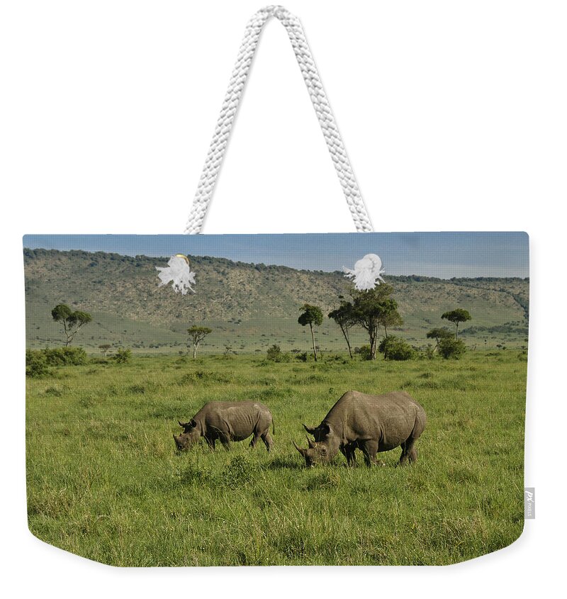 Africa Weekender Tote Bag featuring the photograph Black Rhinos #1 by Michele Burgess