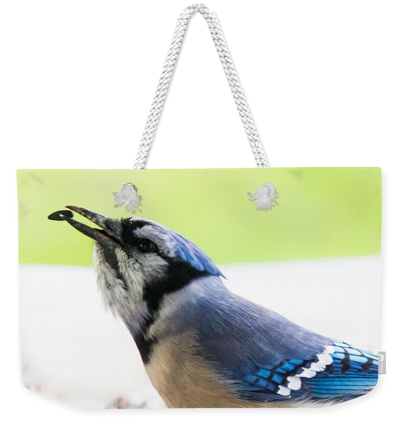 Blue Jay Weekender Tote Bag featuring the photograph Blue Jay  by Holden The Moment