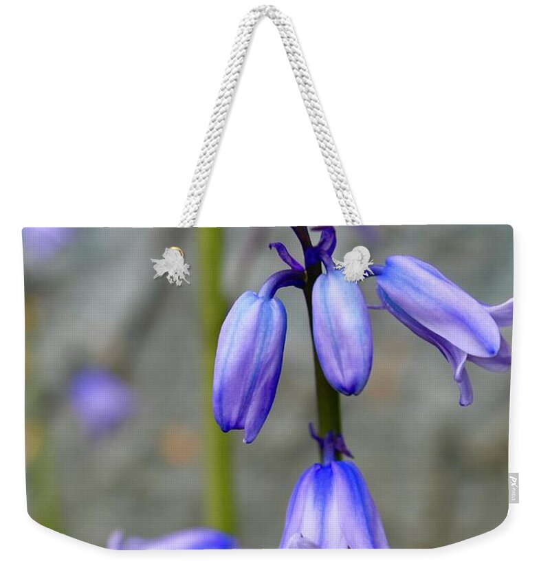 Photography Weekender Tote Bag featuring the photograph Bluebell Beauty #1 by M E