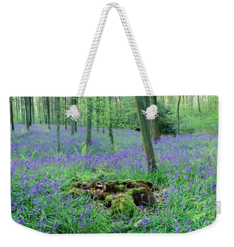 Bluebell Weekender Tote Bag featuring the photograph Bluebell woods panorama #1 by Warren Photographic