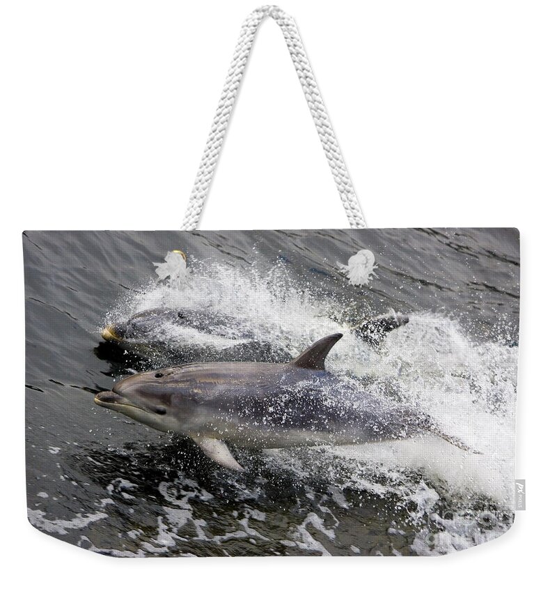 Bottle-nosed Dolphin Weekender Tote Bag featuring the photograph Bottle-nosed Dolphins #1 by B. G. Thomson
