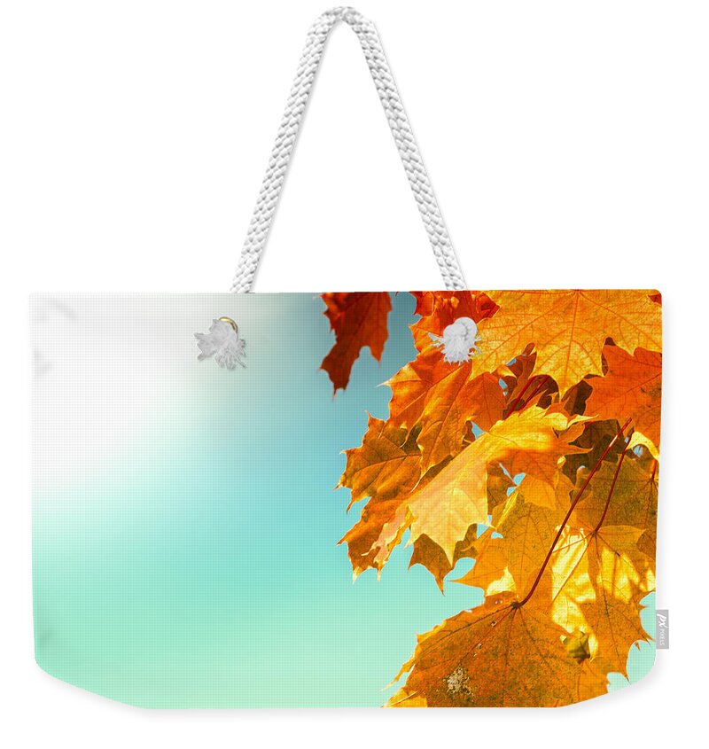 Autumn Weekender Tote Bag featuring the photograph Yellow Autumn White Sun by John Williams