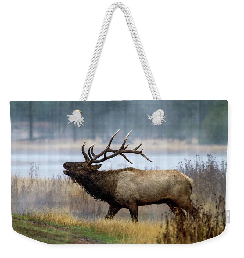 Elk Weekender Tote Bag featuring the photograph Bull Elk by Wesley Aston