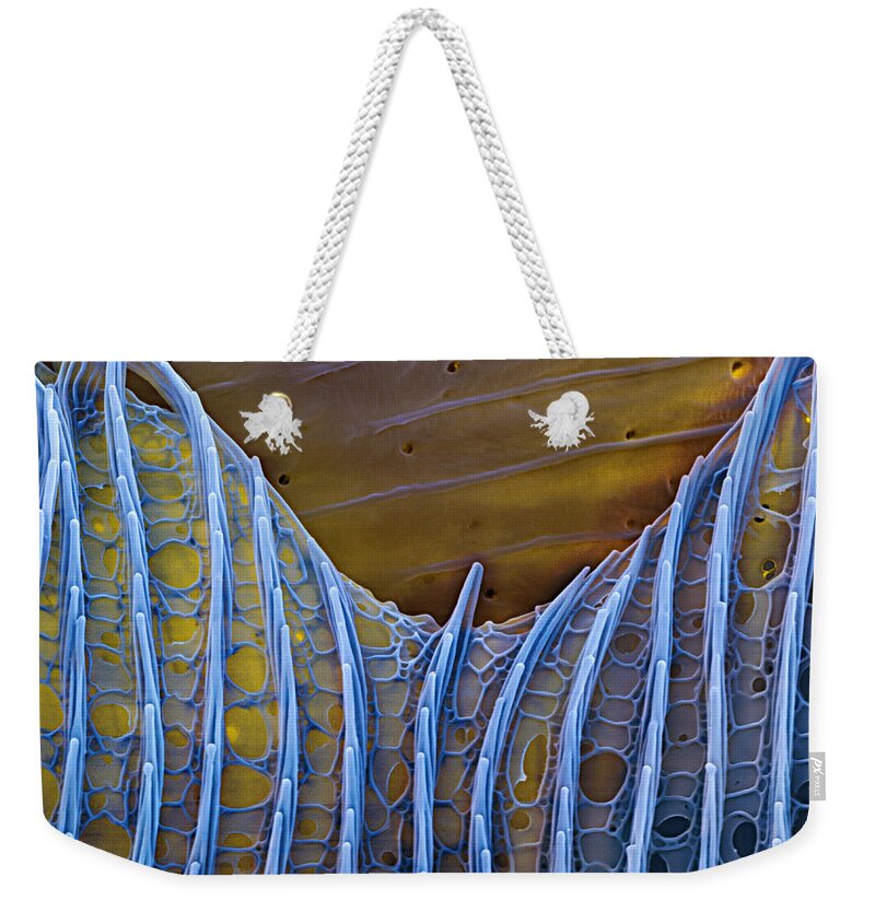 Science Weekender Tote Bag featuring the photograph Butterfly Wing Scale Sem by Eye of Science