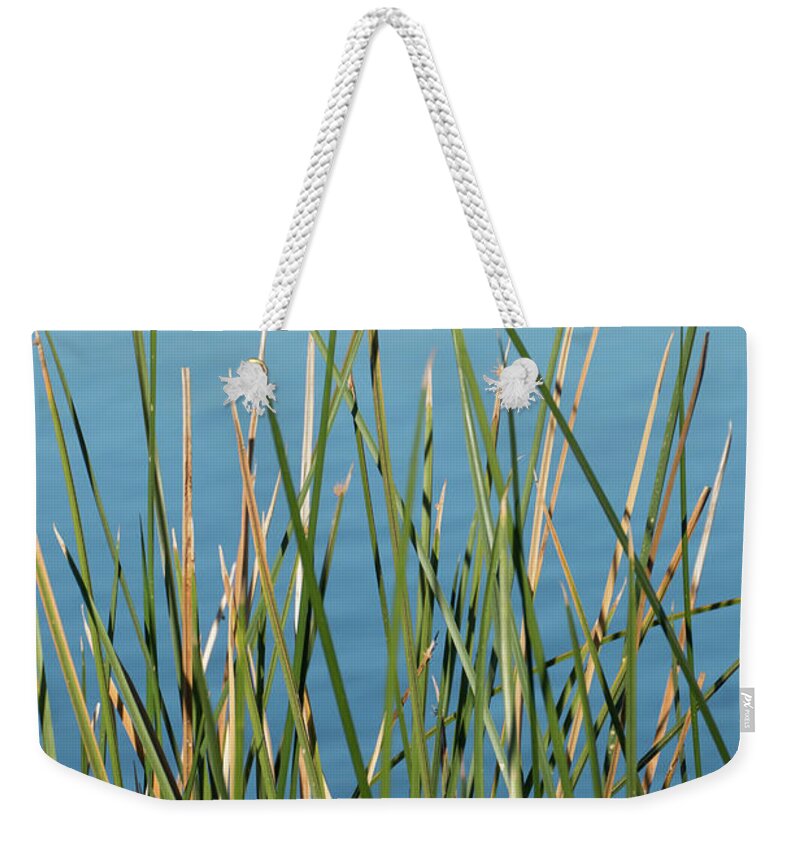 Water Weekender Tote Bag featuring the photograph By the Water #1 by Laurel Powell