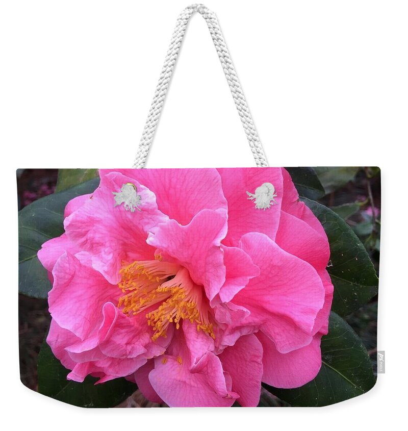 Camellia Weekender Tote Bag featuring the photograph Camellia #1 by Lessandra Grimley