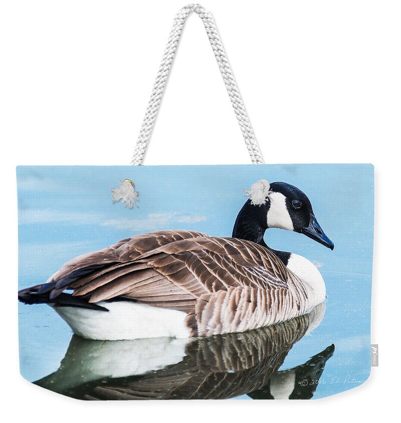 Heron Heaven Weekender Tote Bag featuring the photograph Canada Geese In Spring #1 by Ed Peterson