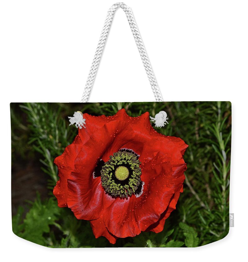 Poppy Weekender Tote Bag featuring the photograph Centerpiece - Red Poppy 010 #1 by George Bostian