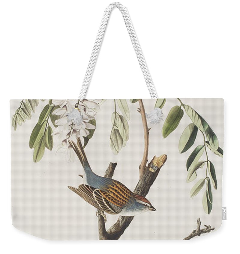 Chipping Sparrow Weekender Tote Bags