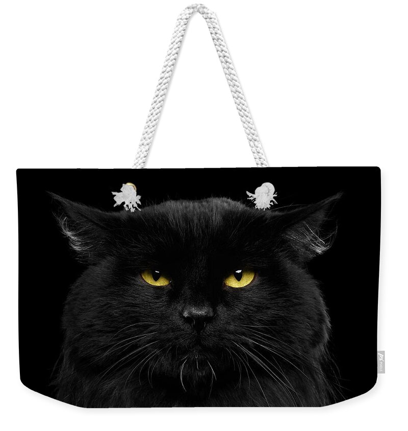 Black Weekender Tote Bag featuring the photograph Close-up Black Cat with Yellow Eyes by Sergey Taran