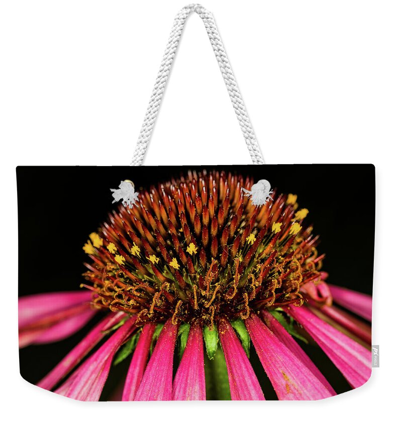 Jay Stockhaus Weekender Tote Bag featuring the photograph Cone Flower #1 by Jay Stockhaus