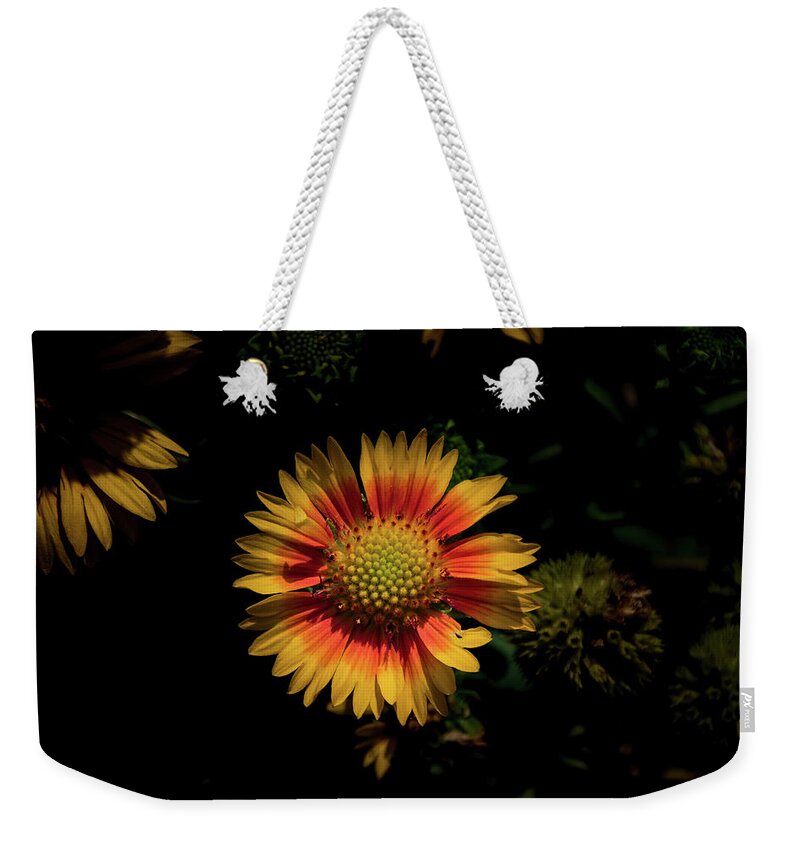 Jay Stockhaus Weekender Tote Bag featuring the photograph Coneflower #1 by Jay Stockhaus