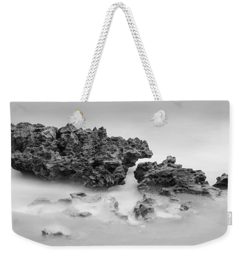 Coral Cove Weekender Tote Bag featuring the photograph Coral Cove Park 0532 #2 by Bob Neiman