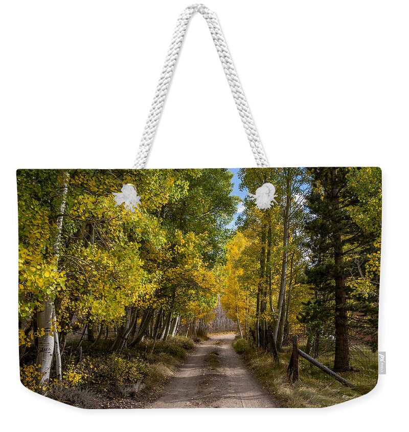 Trees Weekender Tote Bag featuring the photograph Country Road #1 by Cat Connor