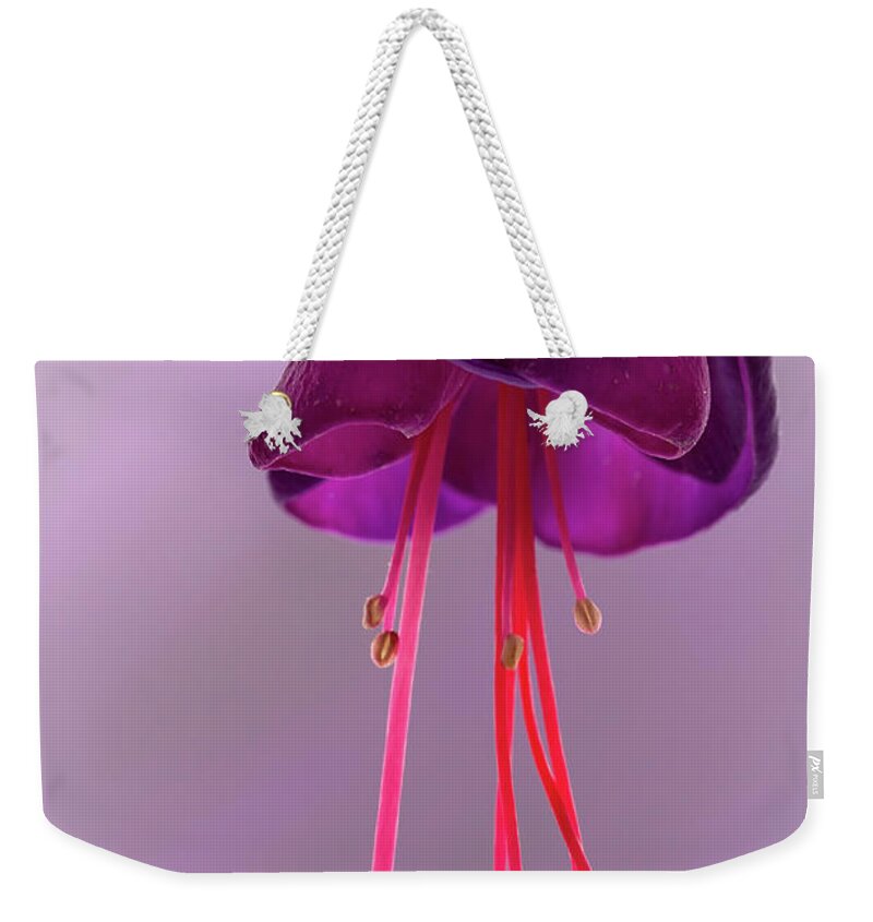 Flora Weekender Tote Bag featuring the photograph Dance of the Fuschia #1 by Shirley Mitchell