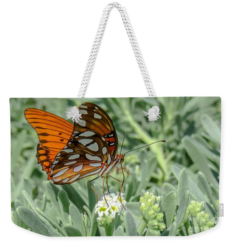 Cheryl Baxter Photography Weekender Tote Bag featuring the photograph Delicate Butterfly #1 by Cheryl Baxter