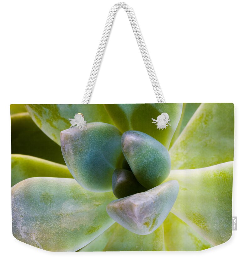 Beautiful Weekender Tote Bag featuring the photograph Blue Pearl Plant by Raul Rodriguez